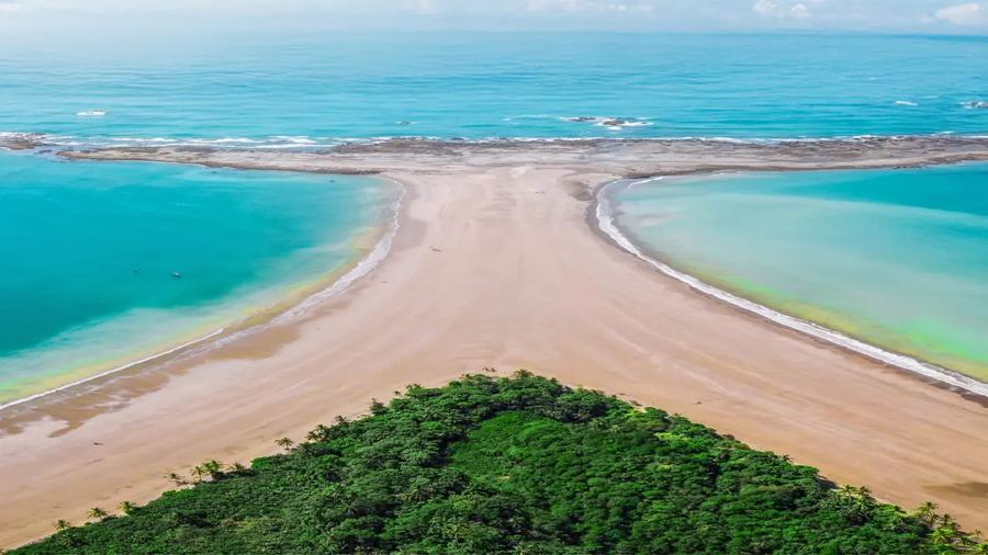Uvita