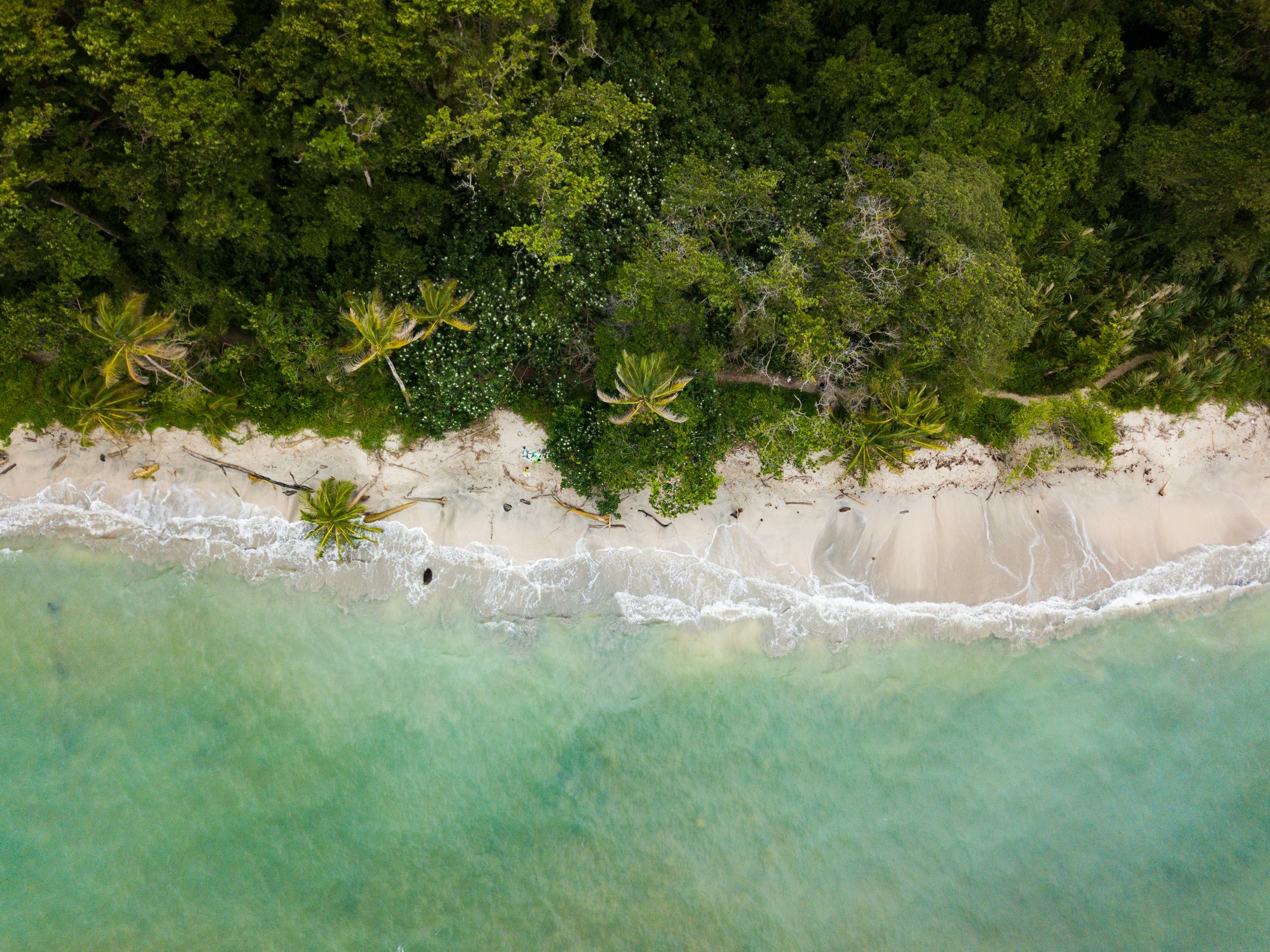 Plage des Caraïbes