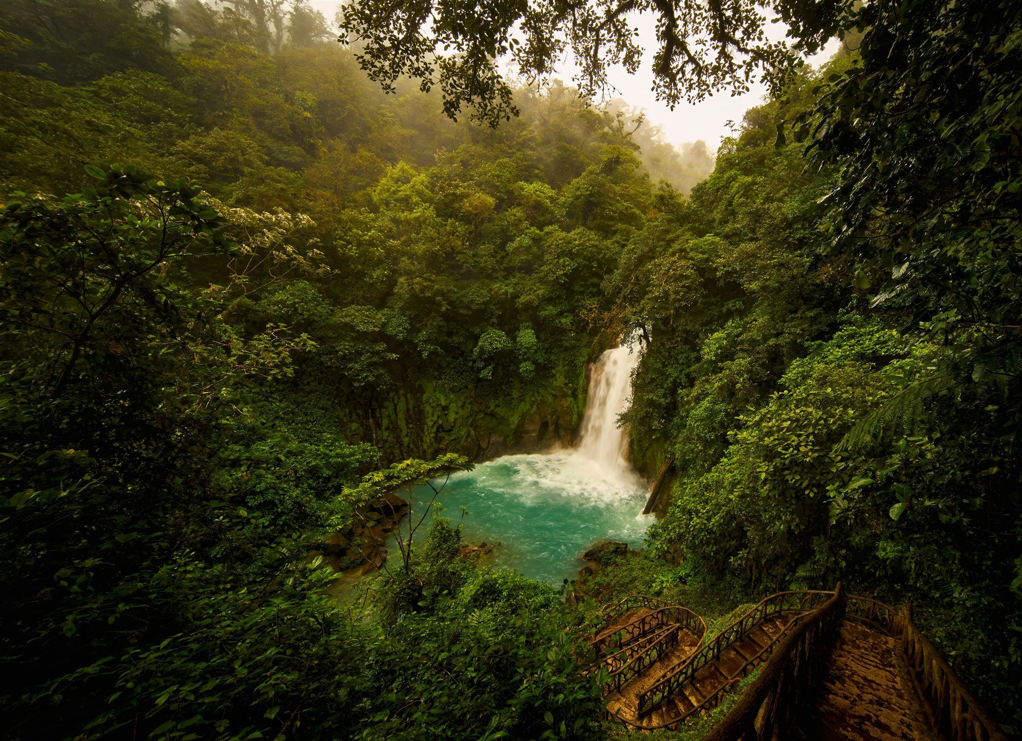 Cascade en forêt tropicale